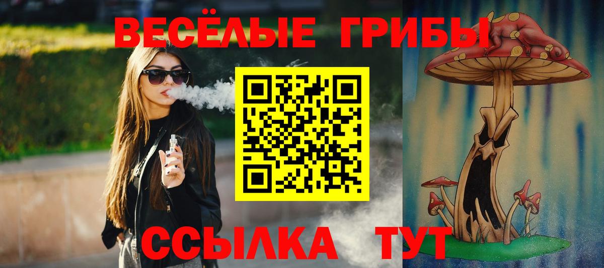 Галлюциногенные грибы GOLDEN TEACHER Лосино-Петровский